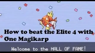 Magikarp VS The Elite 4 with gen 6 update - BulbaTube