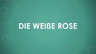 Die Weiße Rose einfach und kurz erklärt