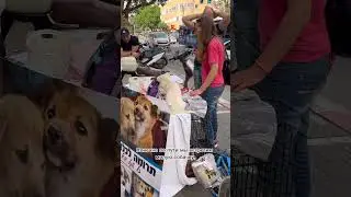Выходной в Тель Авиве | что поделать в Тель Авиве