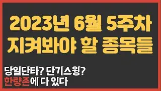 2023년 6월 5주차 한량존 관심종목