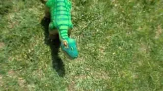 The Cute Pleo Going For A Walk In The Park!