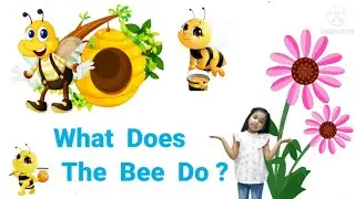 What does the Bee do ?  Rhyme | Nursery Rhyme (with  Spellings and Actions) | Little Star 🌟