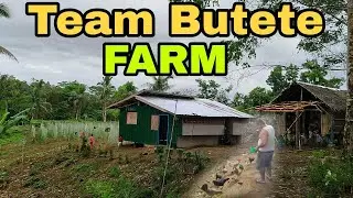 Team Butete Farm Update 