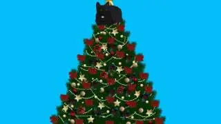 МС Cat - кошачий реп
