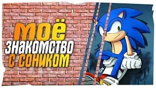 МОЁ ЗНАКОМСТВО С СОНИКОМ