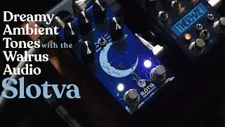 Dreamy Ambient Tones with the Walrus Audio Slotva