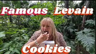 Famous  Levain  Cookies Review