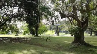 Gamboa, Panama