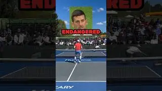 “Tennis Is ENDANGERED” Novak Djokovic - Is Tennis Dying? #shorts