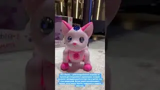 Умный питомец. Кот Zhorya — роботизированная игрушка на пульте. 