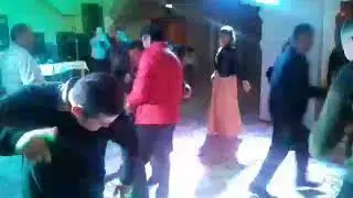 Тобольск. Ошоба. Туй.