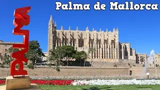 Palma de Mallorca sightseeing | Mallorca