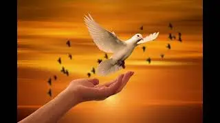Peace Meditation