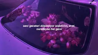 conan gray - look a like (türkçe çeviri)