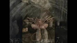 LEAKED ALIEN: COVENANT IMAGES GIVE US THE FIRST LOOK AT THE NEW XENOMORPHS [SPOILERS]