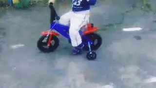 Котька на велике