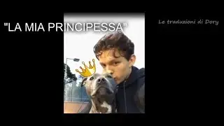 Gli ATTORI e i loro adorabili CANI (Robert Pattinson, Tom Holland, Tom Hardy..)