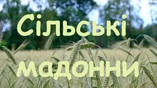 Володимир 