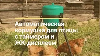 Автоматическая кормушка для птицы с таймером и ЖК-дисплеем | SHKOLHOZ