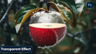 How to Make a Transparent Effect in Photoshop Tutorial