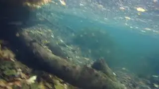Радоновые источники и озёра