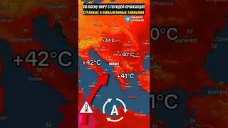 По всему миру с погодой происходят какие-то странные аномалии