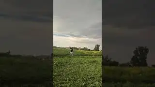 казахстанский тример