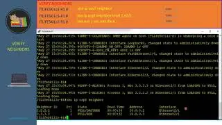 Influencing OSPF DR and BDR election
