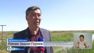 Животноводы Черноземелья подводят итоги завершившейся окотной кампании
