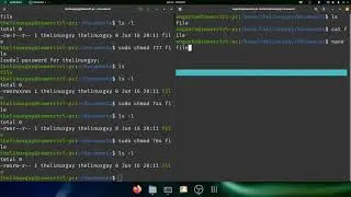 Stop! That's My File! - How to manage user permissions in Linux