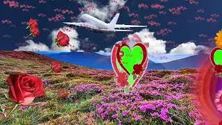 Love mixing Wedding Green screen effect HD Video 43