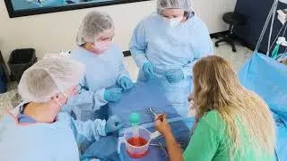The Best Nurse You Can Be | MMU Nursing
