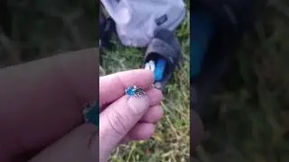 Открытие подводного поиска  сезон 2024 #кладоискатель #metaldetecting #коп #металлоискатель #coin