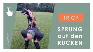 Tricktutorial für Hunde | Sprung auf den Rücken | eindrucksvoller Hundetrick