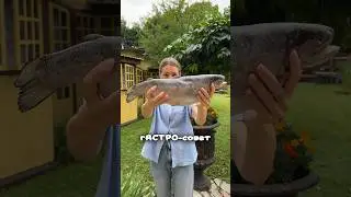 Верите в астрологические прогнозы? #shorts #еда #лайфхаки #астрология