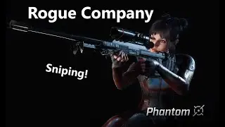 Rogue Company- Sniping as Phantom