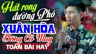 XUÂN HÒA Hát Rong Rụng Động Tôi Không Thể Ngừng Nghe ➤ Lk Anh Biết Em Đi Chẳng Trở Về, Bông Cỏ May
