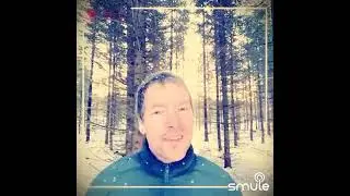 Yölintu