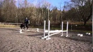 Thopp3