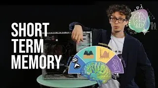 Short Term Memory
