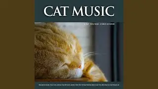 Sleeping Music For Cats
