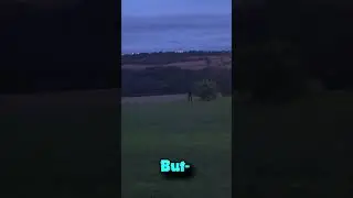 TaleOfTheToaster abandons football forever