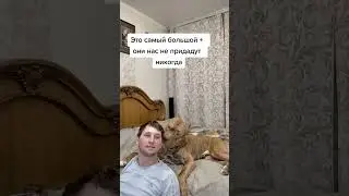 Преданность!