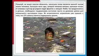 Виды загрязнений и пути исправления экологического кризиса