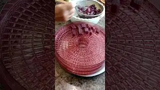 И это тоже кабачки.