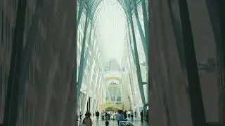 Study a Course I Toronto'da Öğrenci Olmak!