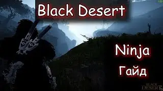 Black Desert. Ниндзя  - гайд (не актуальный)