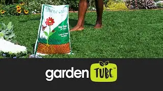 Grow a lush lawn with Talborne