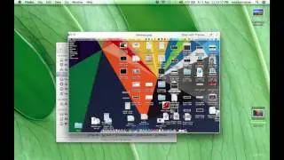 How to keep your files organized on MacOS