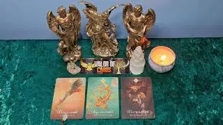 ANIMAL SPIRIT 